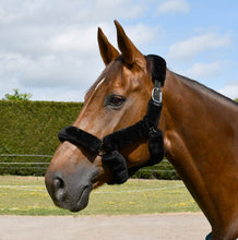 Load image into Gallery viewer, Fur Trim Headcollar
